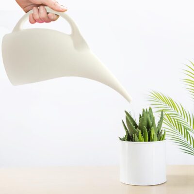 Watering Can 1/2 Gallon - Indoor Outdoor Plant Watering - Small Watering Pot for House Plants - Rustproof - Image 4