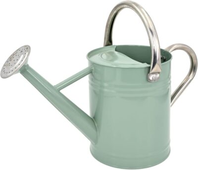 Galvanized Steel Watering Can 1 Gallon - Outdoor Metal Watering Can with Removable Spout - Perfect Home & Garden