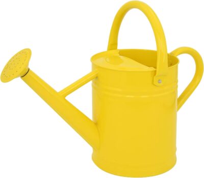 Galvanized Steel Watering Can 1 Gallon - Outdoor Metal Watering Can with Removable Spout - Perfect Home & Garden