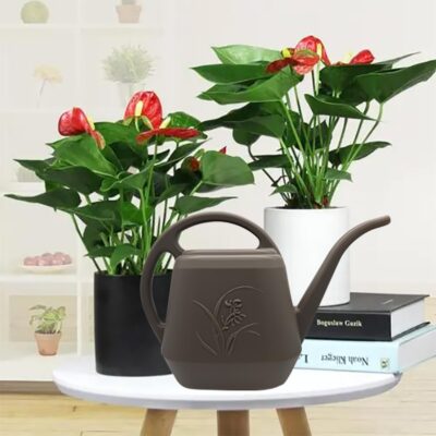 Coffee Brown Watering Can - 1/2 Gallon - Indoor Outdoor Plant Watering - Rustproof Durable - Image 4