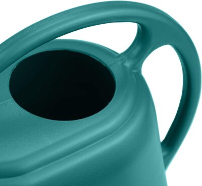 Fasmov 1-Gallon Green Plastic Watering Can - Durable Garden Water Can for Indoor & Outdoor Plants - Image 3