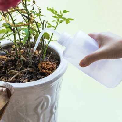 500ml Squeeze Watering Bottle 2-Pack - Precise Plant Watering, Succulent Irrigation - Oubest - Image 4