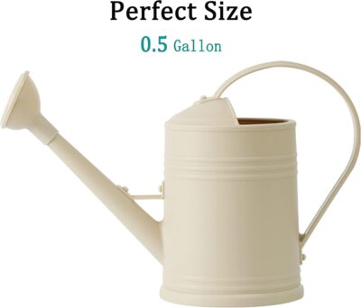 Indoor Watering Can for Plants - 68oz/Half Gallon - Long Spout & Sprinkler Head - Perfect for Flowers & Houseplants - Image 3