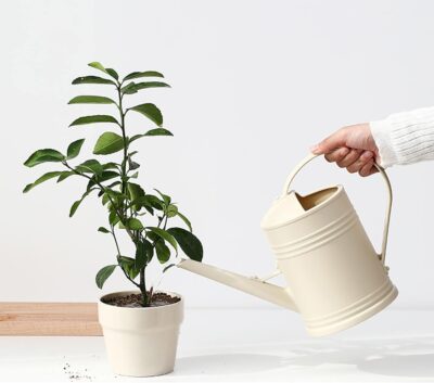 Indoor Watering Can for Plants - 68oz/Half Gallon - Long Spout & Sprinkler Head - Perfect for Flowers & Houseplants - Image 4