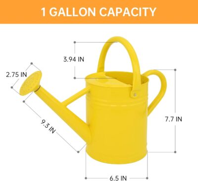 Galvanized Steel Watering Can 1 Gallon - Outdoor Metal Watering Can with Removable Spout - Perfect Home & Garden - Image 2