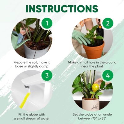 Self Watering Globes for Indoor Plants - Image 3