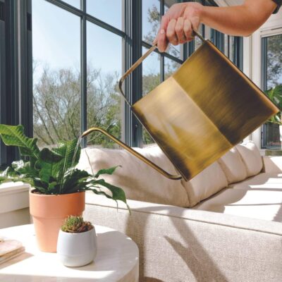 Modern Sprout Brass Watering Can - 3L Long Spout - Indoor House Plant & Seed Starter - Image 2