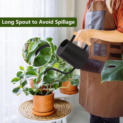 35oz Black Metal Watering Can - Long Spout Stainless Steel for Indoor Plants, Bonsai & Garden - Image 2