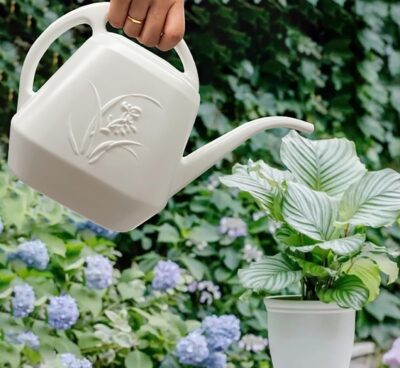 White Watering Can 1/2 Gallon - Small Metal Watering Pot for Indoor Outdoor Plants - Decorative Garden Watering Can - Image 5