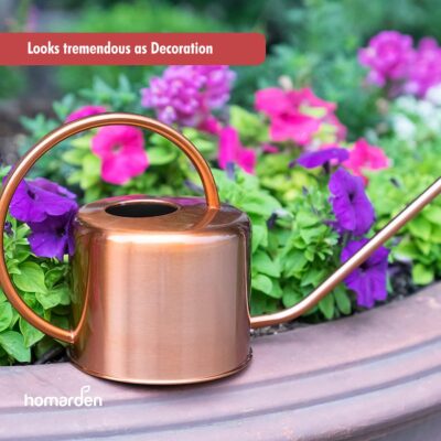 Homarden Teal Watering Can 60oz - Long Spout Stainless Steel for Indoor Outdoor Plants - Image 4