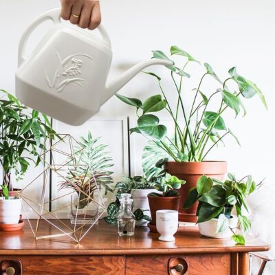 White Watering Can 1/2 Gallon - Small Metal Watering Pot for Indoor Outdoor Plants - Decorative Garden Watering Can - Image 4