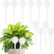 Large Plant Watering Globes 10-Pack - Self Watering Bulbs for Indoor & Outdoor Plants - Automatic Plant Waterer - White