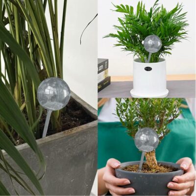 Large Plant Watering Globes 10-Pack - Self Watering Bulbs for Indoor & Outdoor Plants - Automatic Plant Waterer - White - Image 3