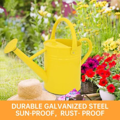 Galvanized Steel Watering Can 1 Gallon - Outdoor Metal Watering Can with Removable Spout - Perfect Home & Garden - Image 5