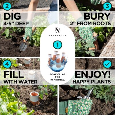 Plant Self Watering Globes Terracotta Spikes Olla Pots Kit - Slow Release Irrigation + Garden Shears - Image 3