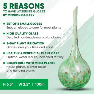 Self Watering Globes for Indoor Plants - Image 2