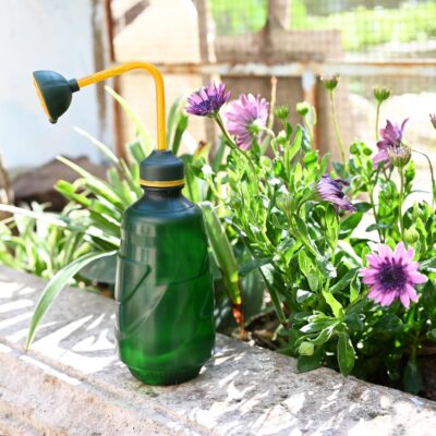 Small Watering Can 0.45L - Houseplant & Seedling Waterer - Green - Indoor Garden Tool - Image 4