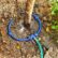 ZZM 360? Tree Watering Ring - Targeted Irrigation System for New Trees & Shrubs (Small)