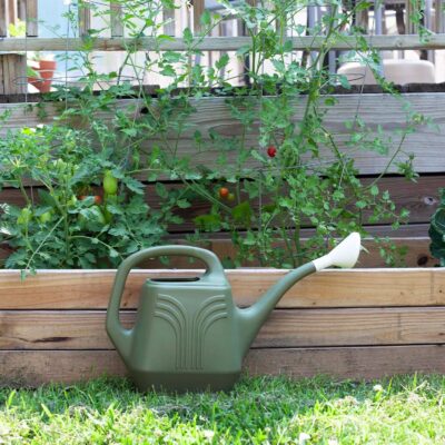 Bloem Living Green 2-Gallon Watering Can - Durable Resin, Dual Handles, Removable Nozzle - Indoor/Outdoor Gardening - Image 5