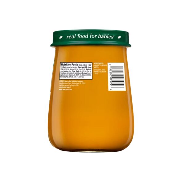 Beech-Nut Organics Stage 1 Organic Baby Food, Pumpkin, 4 oz Jar - Image 2