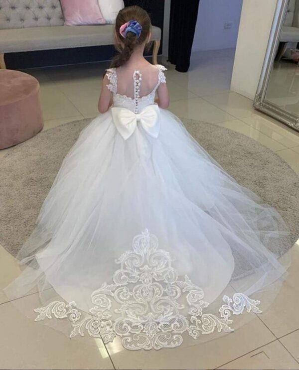 Lace Embroidery Sheer Neck Flower Girl Dress Princess Pageant Ball Gowns Kids Sweep Train - Image 3