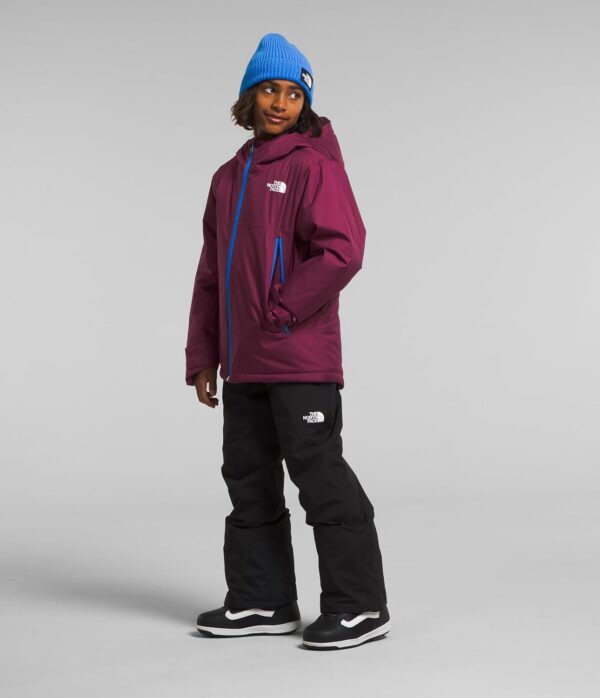 THE NORTH FACE Freedom Insulated Jacket (Toddler) - Image 2