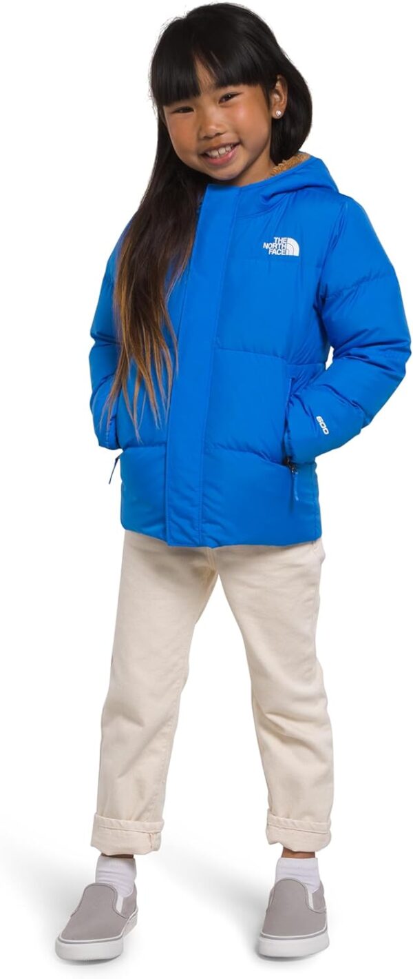 THE NORTH FACE North Down Hooded Jacket (Toddler) - Image 2