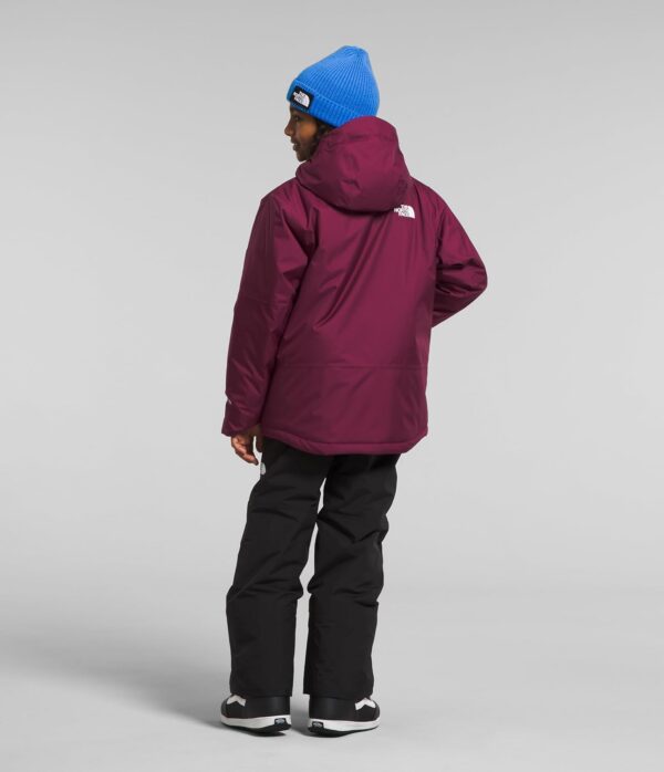 THE NORTH FACE Freedom Insulated Jacket (Toddler) - Image 3