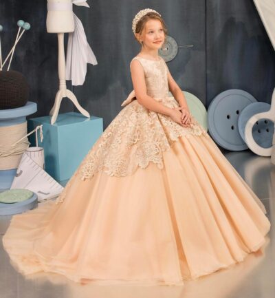 Tulle Flower Girl Dress for Wedding Lace Appliques Embroidered Princess Pageant Dresses Birthday Party Dresses - Image 2