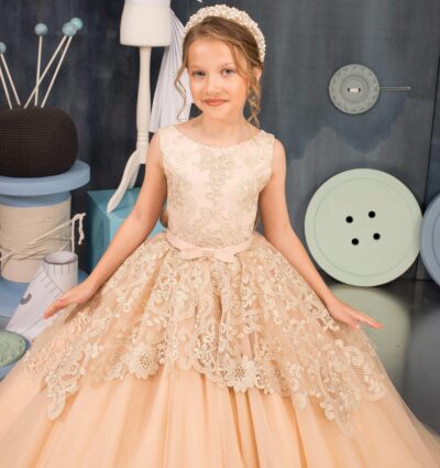 Tulle Flower Girl Dress for Wedding Lace Appliques Embroidered Princess Pageant Dresses Birthday Party Dresses - Image 4