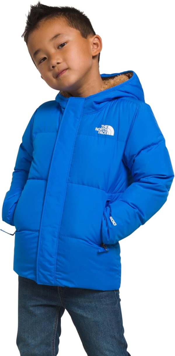 THE NORTH FACE North Down Hooded Jacket (Toddler)