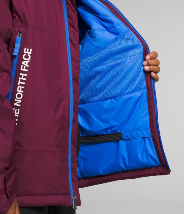 THE NORTH FACE Freedom Insulated Jacket (Toddler) - Image 4