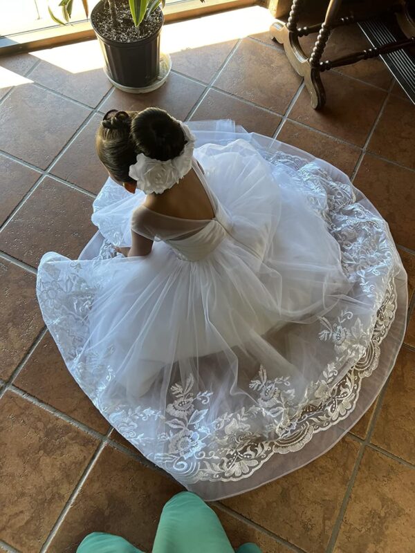 ABAO SISTER Elegant Flower Girl Dress for Wedding Kids Sleevelesss Lace Pageant Ball Gowns - Image 4