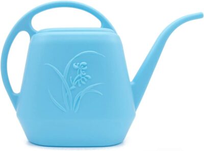 Plant Watering Can - 1/2 Gallon - Sky Blue