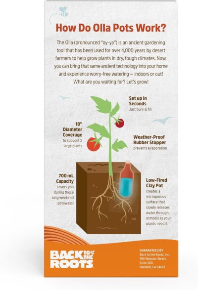 Back to the Roots Self-Watering Terracotta Olla Pot, 700mL Provides 1 Week of Precision Watering - Image 3