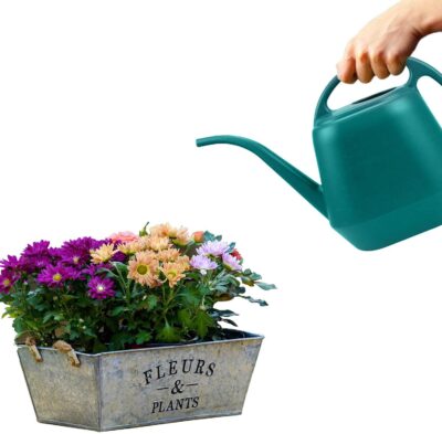 Fasmov Plastic Watering Can, 1-Gallon, Green - Image 4