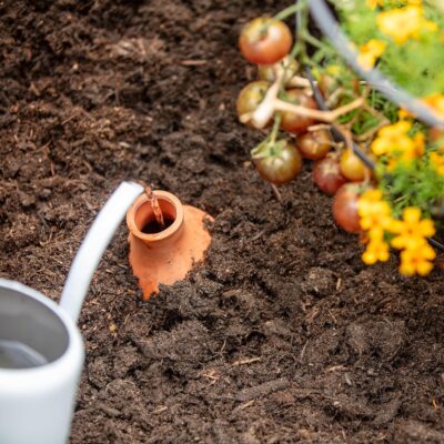 Back to the Roots Self-Watering Terracotta Olla Pot, 700mL Provides 1 Week of Precision Watering - Image 4