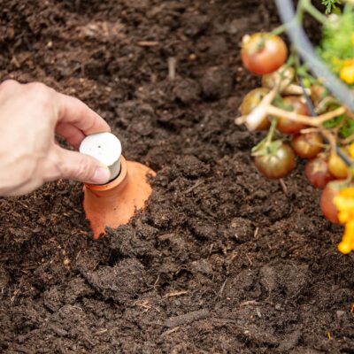 Back to the Roots Self-Watering Terracotta Olla Pot, 700mL Provides 1 Week of Precision Watering - Image 5