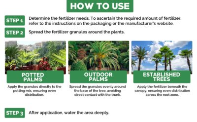 Gardenwise Palm Tree Fertilizer 8-4-8 - Professional Plant Food for Indoor & Outdoor Palms - 4lb - Image 4