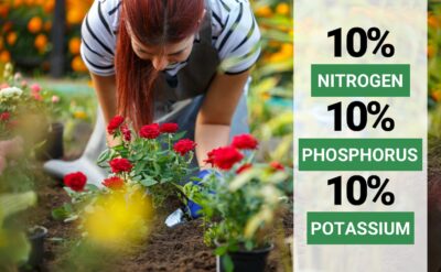 Gardenwise 10-10-10 All-Purpose Fertilizer - Indoor & Outdoor Plant Food - Professional Grade - Image 4